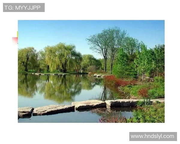 鸟栖沙岩与清风拂面之间的自然和谐与人文交融探讨